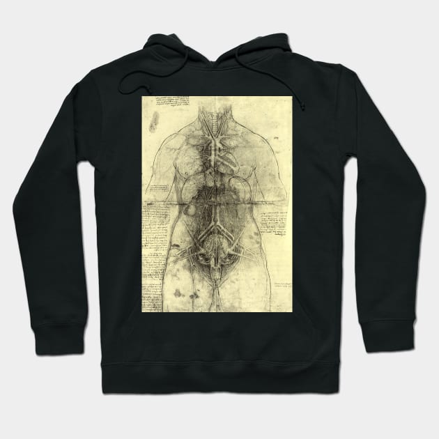 Human Anatomy Female Torso by Leonardo da Vinci Hoodie by MasterpieceCafe